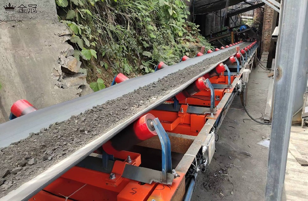 德國申克BMP型電子皮帶秤